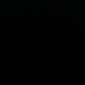 Meet your Posher, Sharde